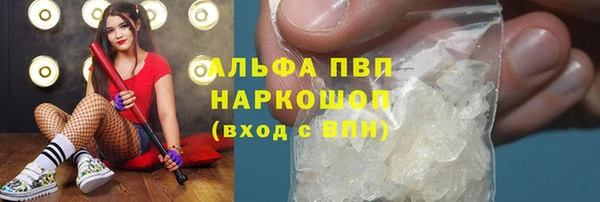 крисы Алексин