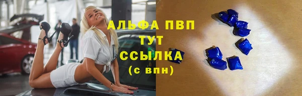 крисы Алексин
