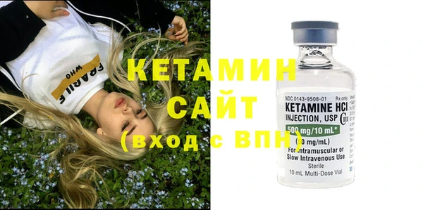 крисы Алексин