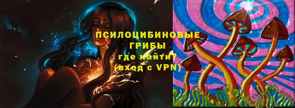 ешки Алзамай