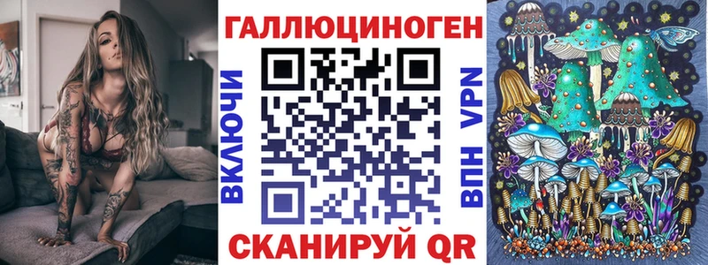 где купить наркоту  Новое Девяткино  Псилоцибиновые грибы GOLDEN TEACHER 